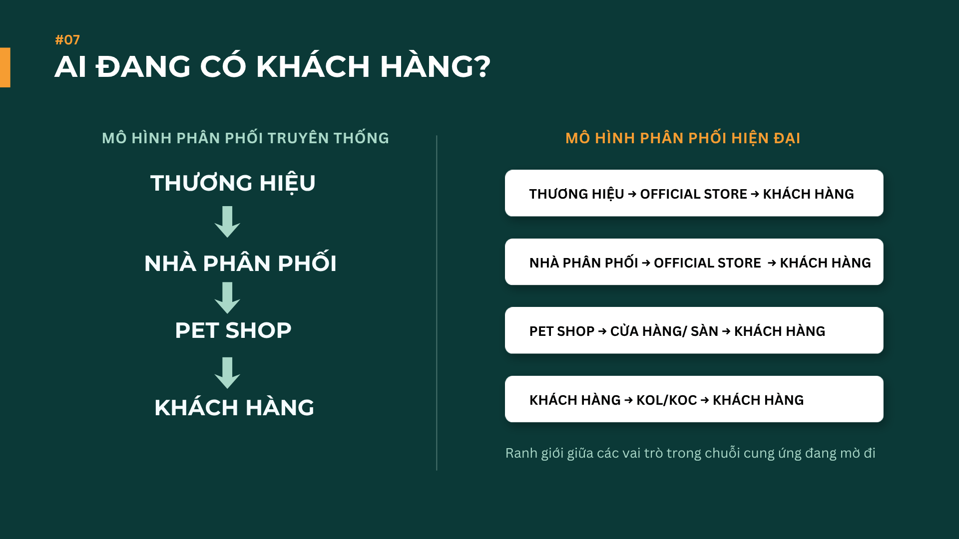 Thị trường thức ăn thú cưng Việt Nam 2026: Người nuôi đang thay đổi cách mua như thế nào?